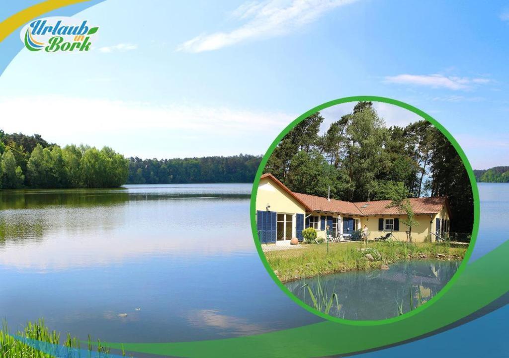 Bauernhof-Streichel-Zoo-Kombi-Familien-Suite-Im-Wald-Am-See Gulow エクステリア 写真